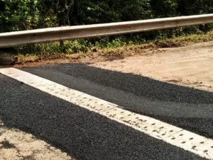 Passagem De Fauna Rs