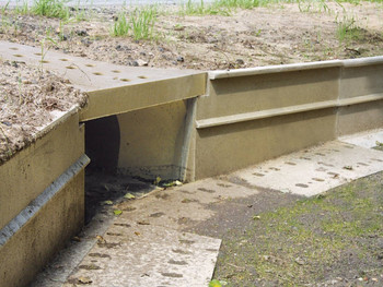 Aco-passagem-de-fauna-ecoduto-wildlife-infraestrutura  3 