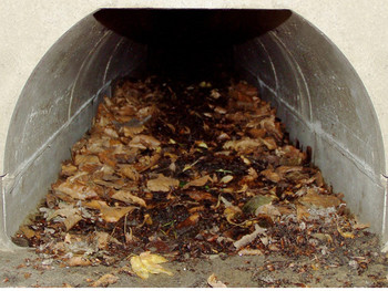 Aco-passagem-de-fauna-ecoduto-wildlife-infraestrutura  2 