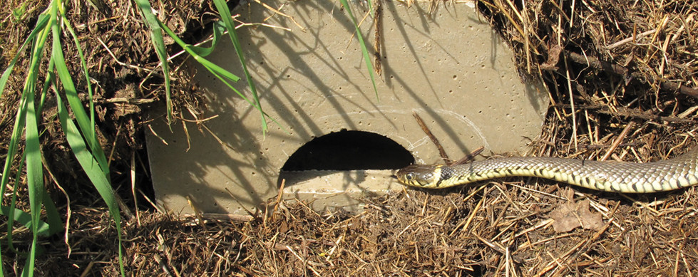 Aco-passagem-de-fauna-subterranea